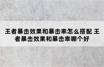 王者暴击效果和暴击率怎么搭配 王者暴击效果和暴击率哪个好